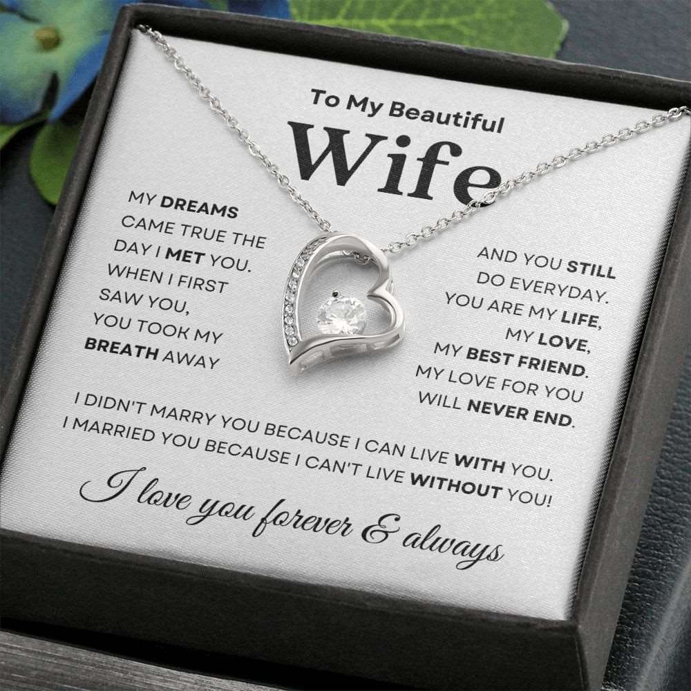 To My Beautiful Wife | The Day I Met You | Forever Love Necklace